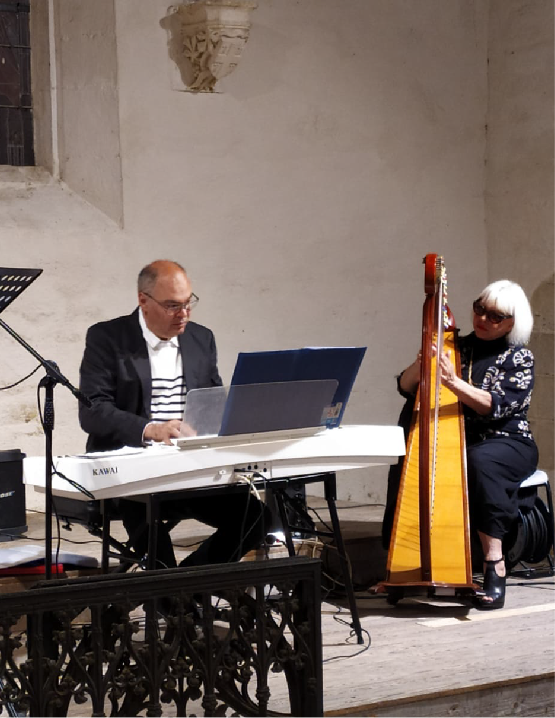 Photo de musiciens lors d'un concert à Surzur