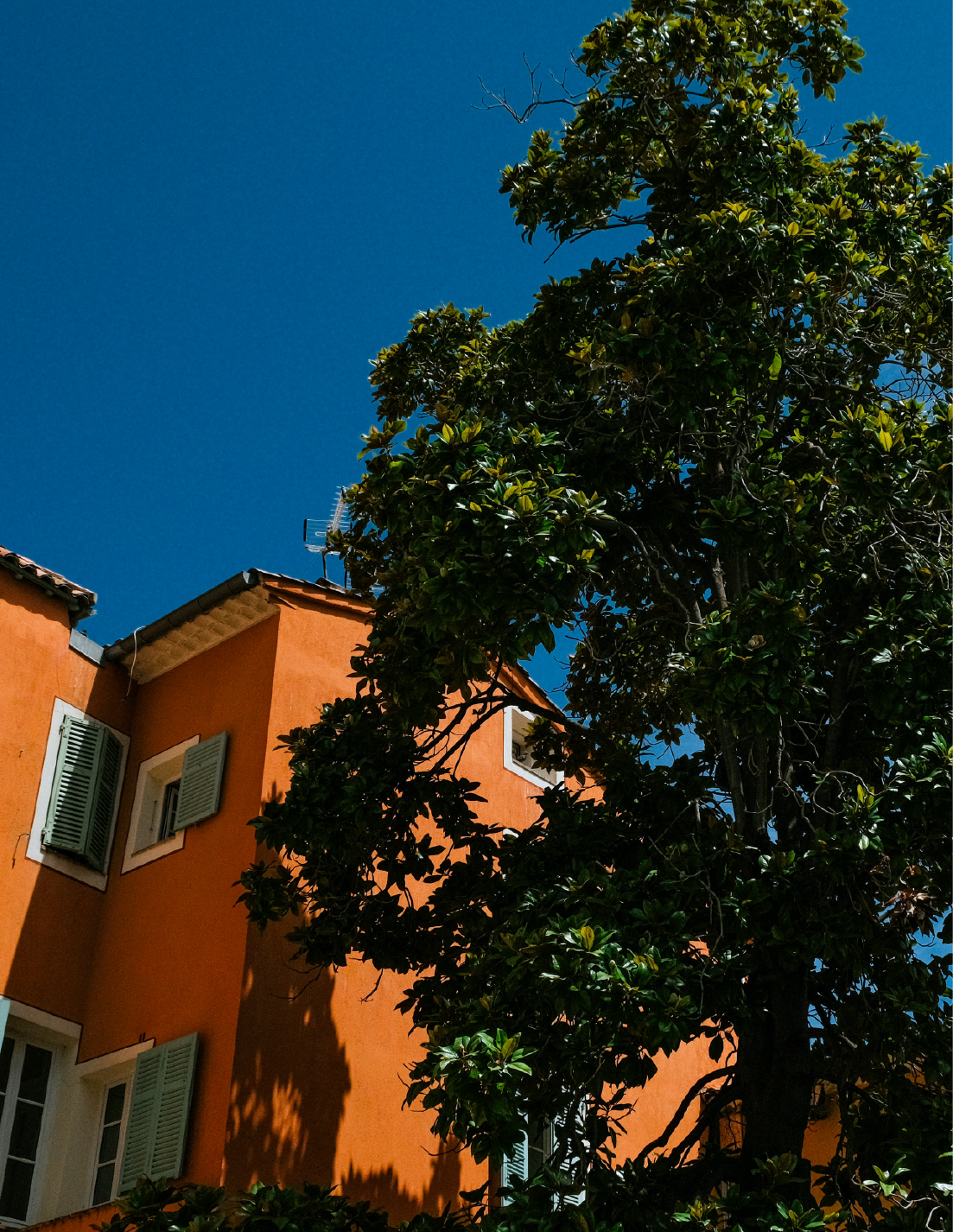 Photographie d'une grande maison proche d'un arbre
